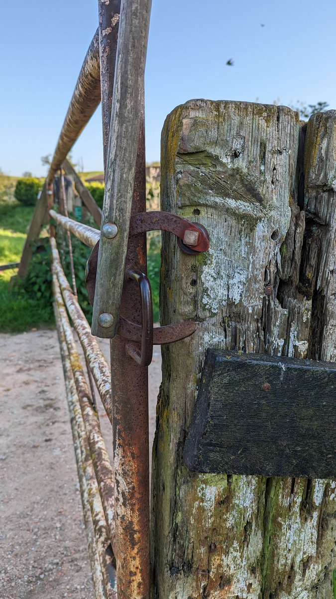 RecyclerBill's tweet image. This is an absolute gem of a #gate #latch. 😍🥰.
Not only is it brilliantly functional but made entirely from a #repurposed #horseshoe &amp;amp; broom handle.  I have named this gate #TriggersBroom 
#QuiteInterestingGatesAndLatchesOfTheUK
#BillsGates