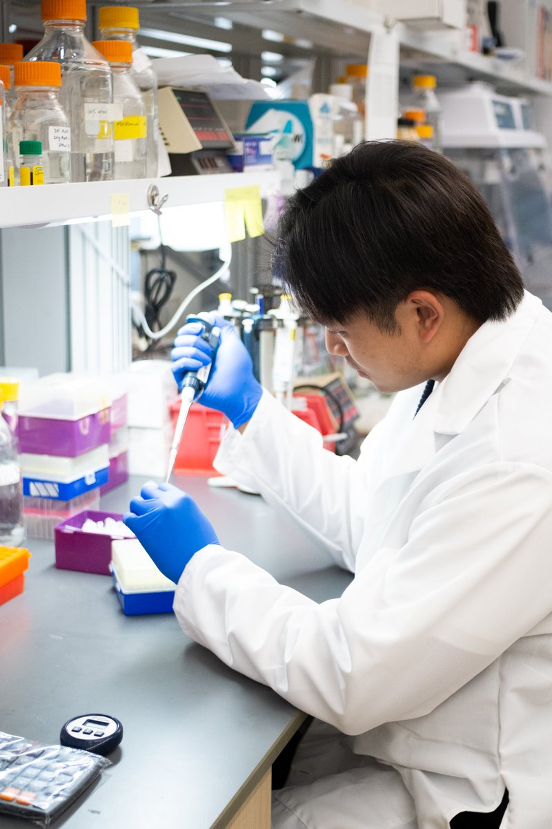 SanDiegoBiomed's tweet image. Albert working on the bench in the Binley Lab! @sd_biomedical instagram.com/p/Csovfg1v8gv/…