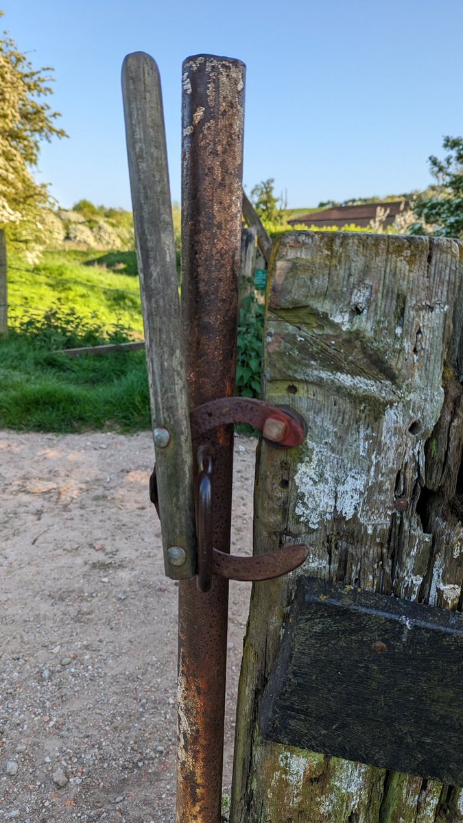 RecyclerBill's tweet image. This is an absolute gem of a #gate #latch. 😍🥰.
Not only is it brilliantly functional but made entirely from a #repurposed #horseshoe &amp;amp; broom handle.  I have named this gate #TriggersBroom 
#QuiteInterestingGatesAndLatchesOfTheUK
#BillsGates