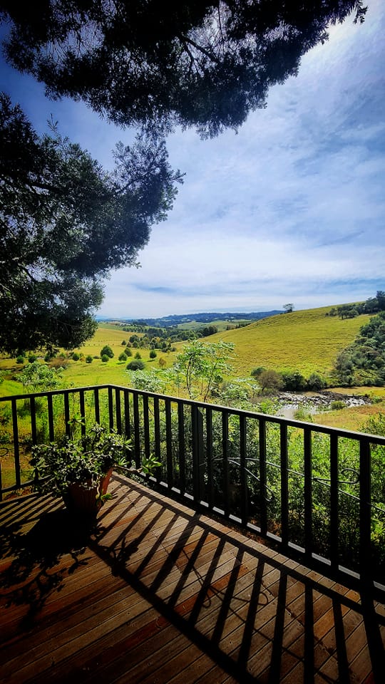 SA Music & Entertainment Magazine 🦄 tweet media