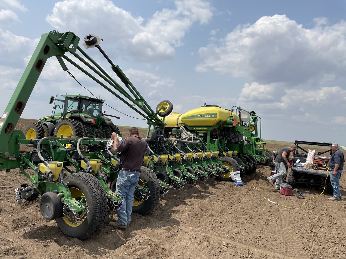 TheRightSeed's tweet image. 🔵 &amp;amp; 🟠 bags going into plots 

See corn and soybean plots located along hwy 79 and Webster at Ferguson Farms. 

Maturities 108-116

#TheRightSeed #CornPlot #Hoegemeyer #RaisedLocal