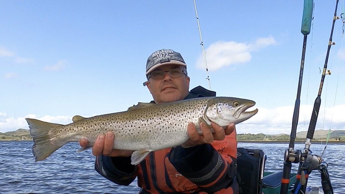 CarperblueF's tweet photo. Beautiful seatrout from the yak #trout #troutfishing #ukseafishing #hobie #hobieoutback #kayakfishing https://t.co/FFBOvpNbmW