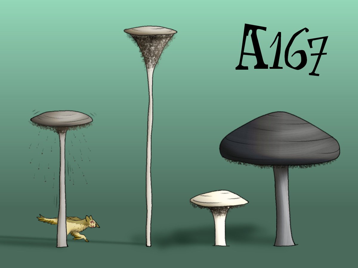 What if mushrooms were actually seed-bearing plants the size of trees? #sagan4 #specevo #specbio #speculativebiology #speculativeevolution

discord.gg/GqDtpYB