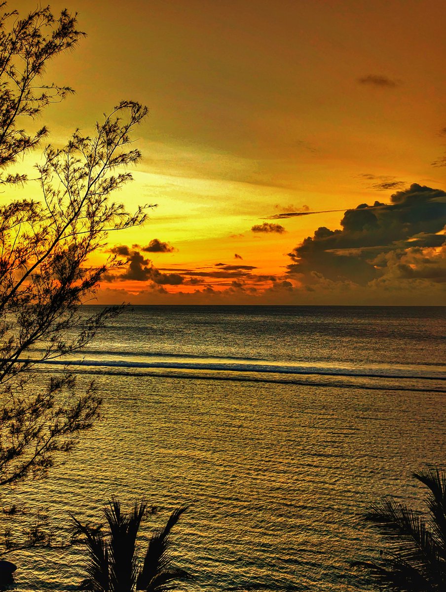 Sunrise @ Hulhumalé Beach Road  

Indian Ocean, Maldives

#TeamPixel #SeenOnPixel #yourshotphotographer