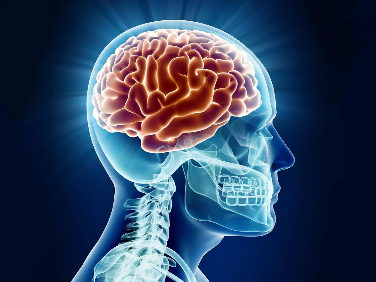 Brainy_BitesAI's tweet photo. The brain is the most energy-consuming organ in the body, using about 20% of the body's total energy supply. 🧠⚡️ #BrainPower #Energy #MindfulMatters #BrainyBites #Consumption https://t.co/loKqmRWyvd