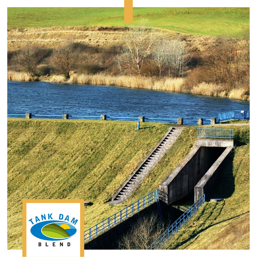 Erosion can be the enemy of water-based structures. Our Tank Dam Blend offers superior erosion control, quick establishment, and year-round protection - perfect for creating and repairing dams. Learn more here ecs.page.link/o2YJT #NativeSeeds #WaterInfrastructure