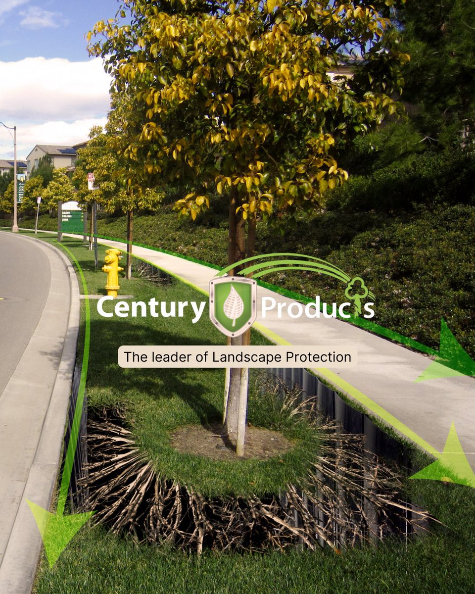 CenturyProduct's tweet photo. A dollar in prevention is worth a million in cure 🌱💯

Our landscaping solutions are integral to keeping homes, cities, and businesses safe from destructive tree roots causing hundreds of thousands of dollars in damage - preventing trip and fall hazards. 

LINK IN OUR BIO ⬆️ https://t.co/cVYMduGD0m