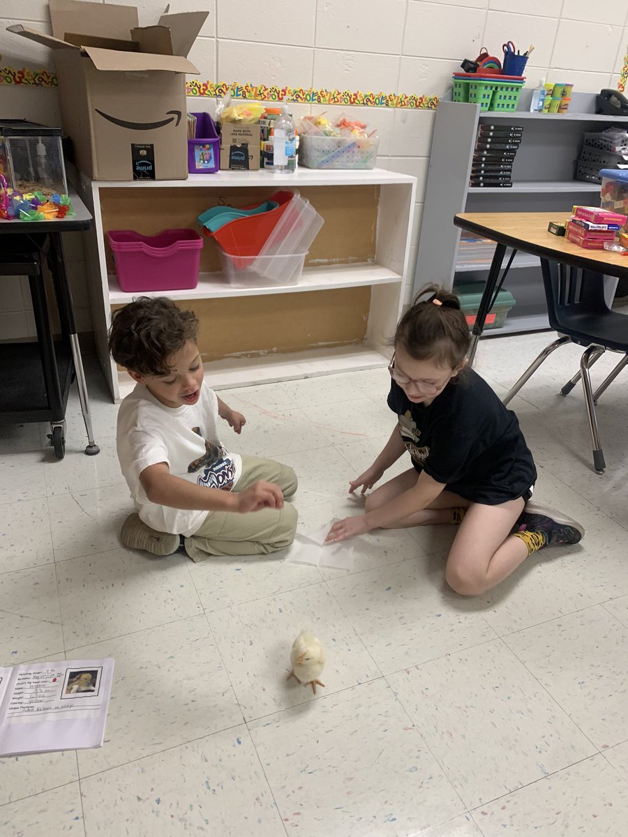 Mrs. Smith tweet media