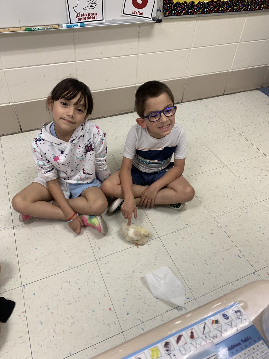 Mrs. Smith tweet media