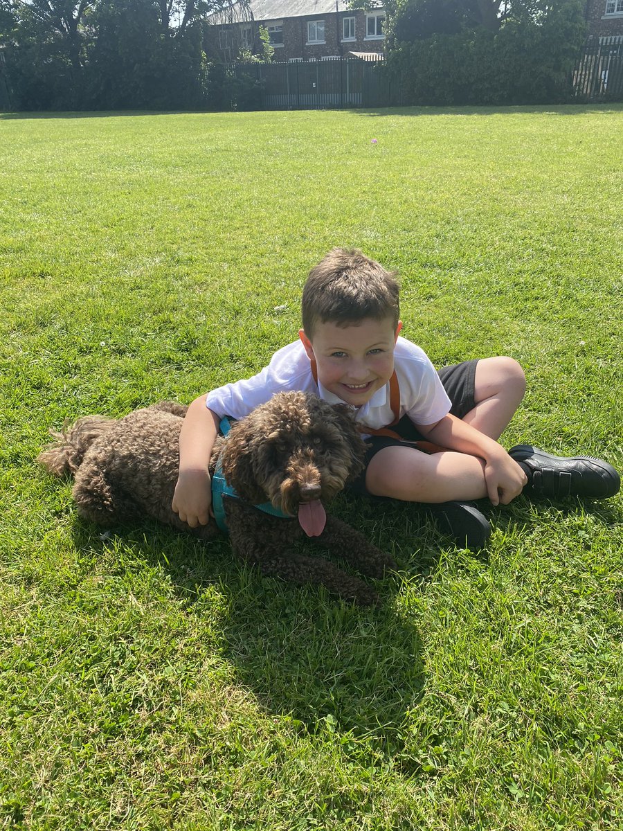 tales_tilly's tweet photo. It’s my birthday 🥳 and I was spoilt at school! https://t.co/AL2OwqWv1C