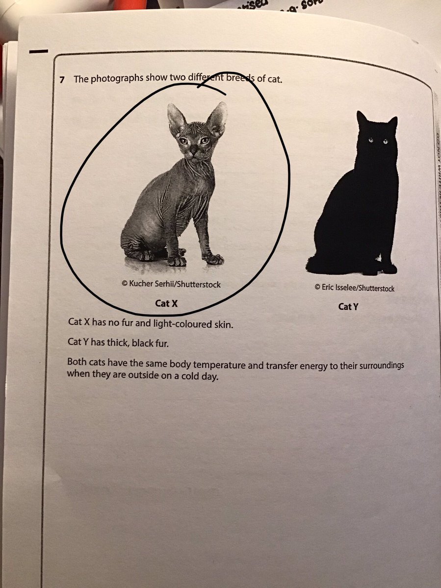 POV me after all my hair falls out from the stress of physics alone 😭:
#gcse2023 #gcses2023