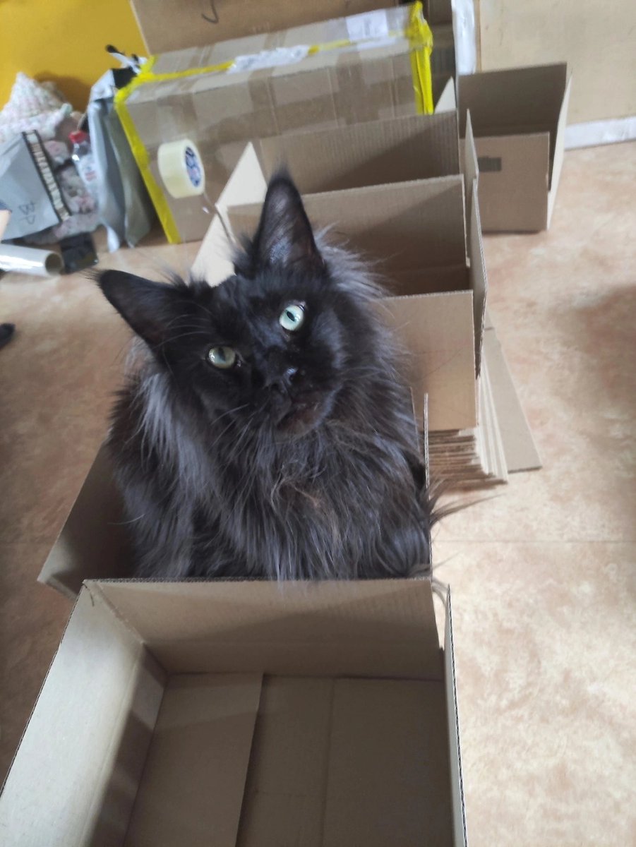 The Man in My Heart | Onmyoji FANBOOK tweet media