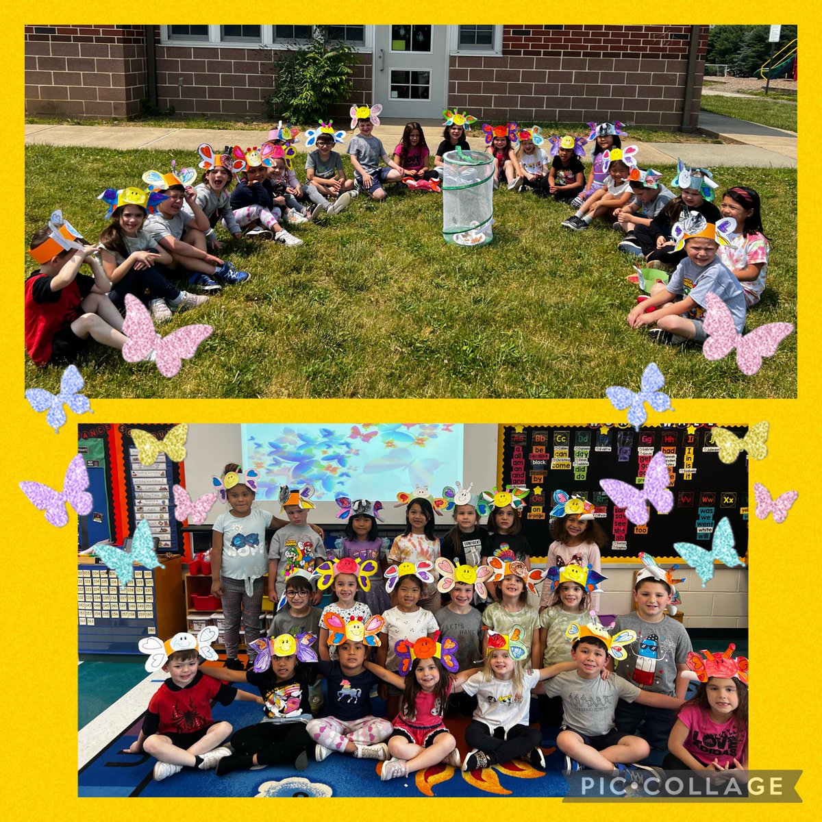 🦋 Butterfly Release Day! 🦋 #teamscovill #22teamcatena23