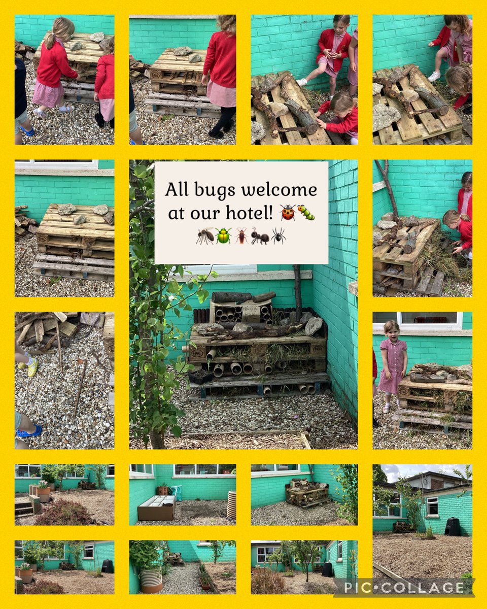 Calling all bugs 🕷️🪲🐞🐛🪳.  All  bugs  welcome  🕷️🪳🐛🐜🦟🐞🪲.  Glyncoed  Bug  Hotel  is  now  OPEN!  @GPSMissHadley_1 @GlyncoedP @_OLW_ @EAS_EarlyYears