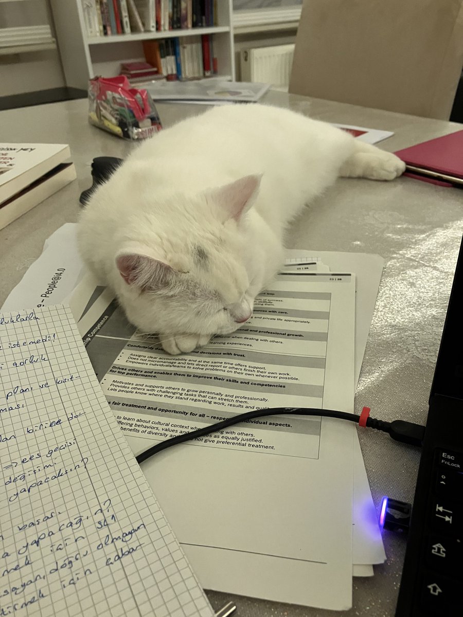 unalcem's tweet image. Bu tweet çalışmaktan yorgun düşmüş bir adet ‘Hera’ içermektedir.