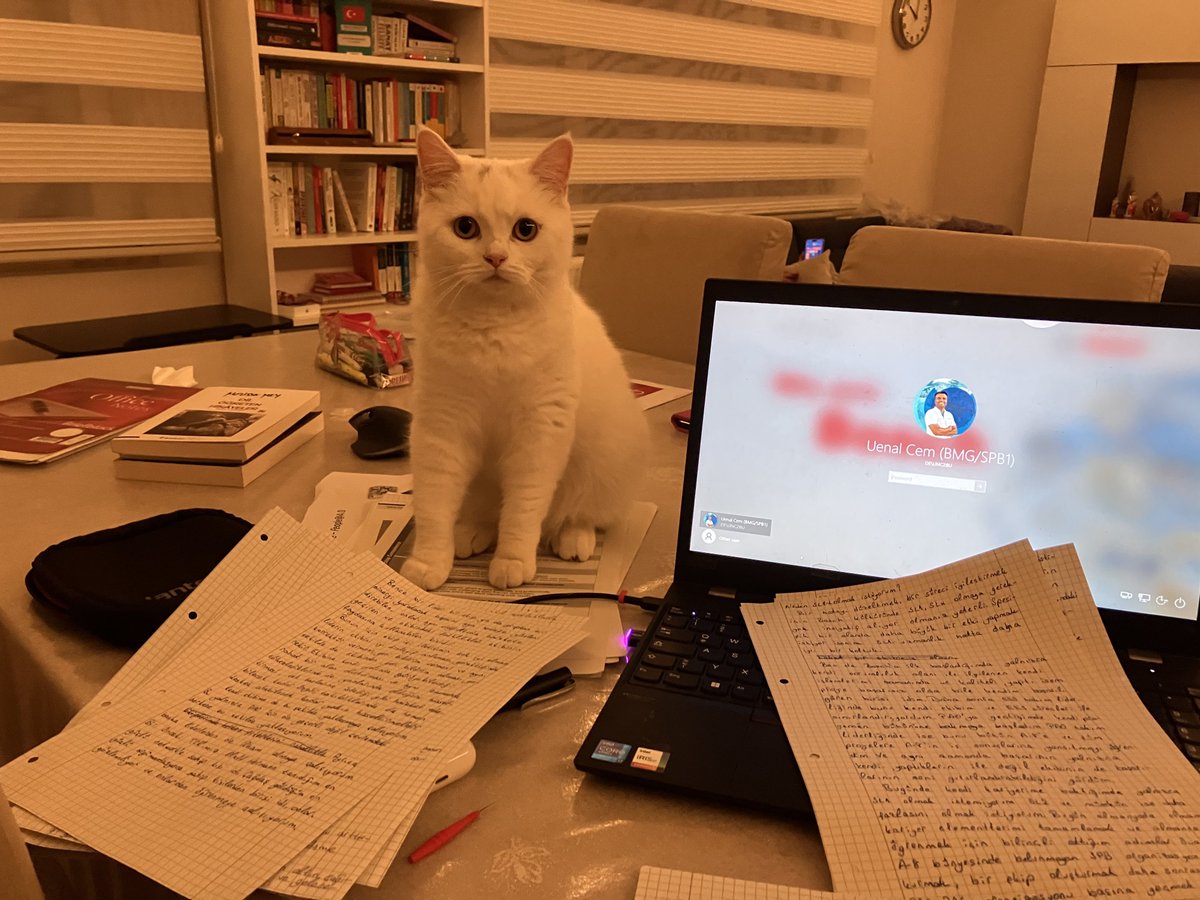 unalcem's tweet image. Bu tweet çalışmaktan yorgun düşmüş bir adet ‘Hera’ içermektedir.