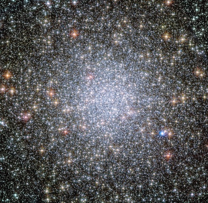 Closeup of a cluster of tightly-packed stars as seen by the Hubble Space Telescope. The sparkles are reminiscent of Tina Turner’s sparkly dresses she would wear on stage. The center of the cluster has the most stars, where most are blue and white. Red and orange stars are found farther from the center. Credits: NASA, ESA, and H. Richer and J. Heyl (University of British Columbia, Vancouver, Canada); acknowledgement: J. Mack (STScI) and G. Piotto (University of Padova, Italy)