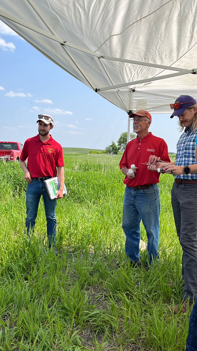ISUANR's tweet photo. Saturated buffers and bioreactors featured at the #IowaDefiningDecade field day. Great water quality tool to have in your conservation tool box in Iowa! https://t.co/Ak9Owiy9Ir