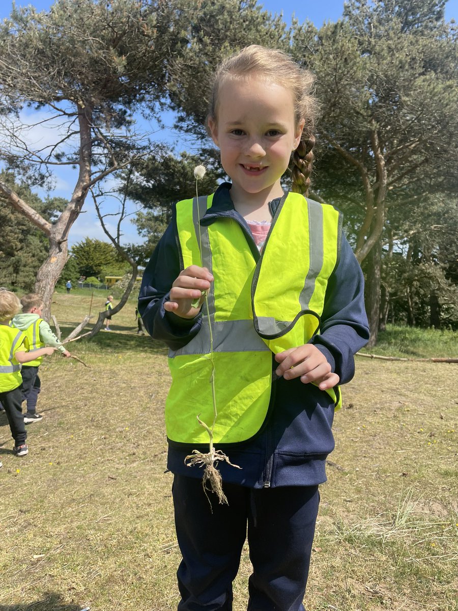 Miss Nesbit (@missnesbitremat) on Twitter photo During our Forest School session this afternoon, this girl from <a href="/ShoresideYear1/">Year 1 Shoreside</a> made a great link to her science lesson when noticing she had found a plant with its root still attached 🌱<a href="/Shoreside1234/">Shoreside Primary School</a> <a href="/MrPowerREMAT/">Mr Power</a> <a href="/MissKnipeREMAT/">Miss Knipe</a> During our Forest School session this afternoon, this girl from <a href="/ShoresideYear1/">Year 1 Shoreside</a> made a great link to her science lesson when noticing she had found a plant with its root still attached 🌱<a href="/Shoreside1234/">Shoreside Primary School</a> <a href="/MrPowerREMAT/">Mr Power</a> <a href="/MissKnipeREMAT/">Miss Knipe</a>