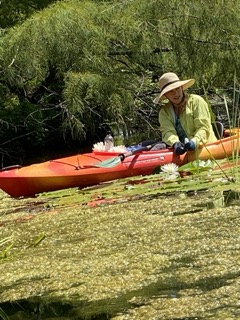 Priyadarshini Chakrabarti Basu tweet media