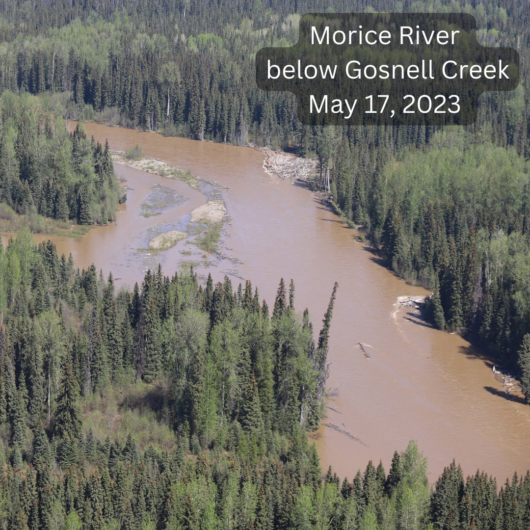 The devastation to our toh (water) and yintah (land) is immeasurable. This is toh we drink. This is where the salmon start their lives. This is our sacred headwaters that feed EVERYONE downstream all the way to the west coast. 

#AllOutForWedzinKwa