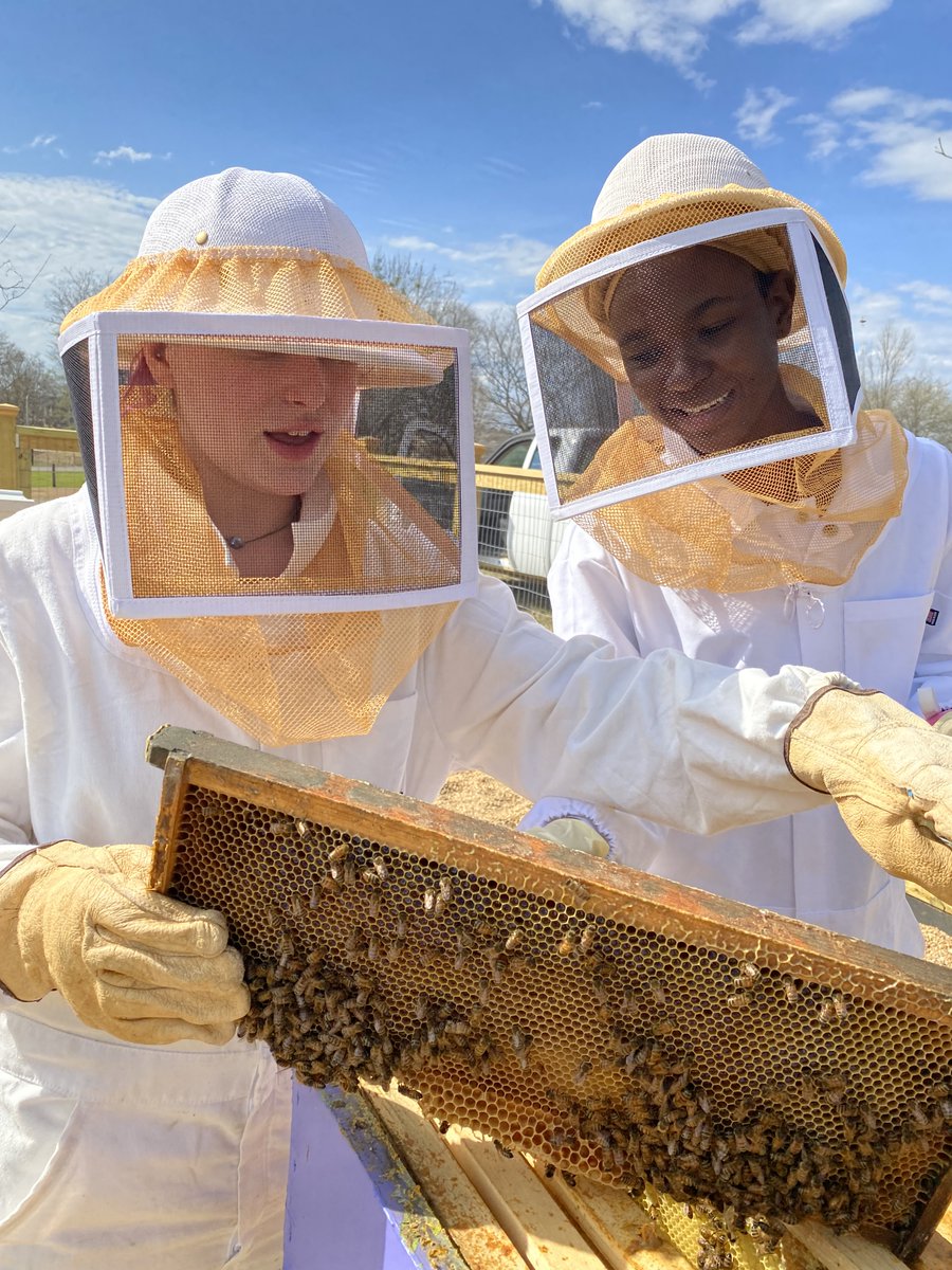 Priyadarshini Chakrabarti Basu tweet media