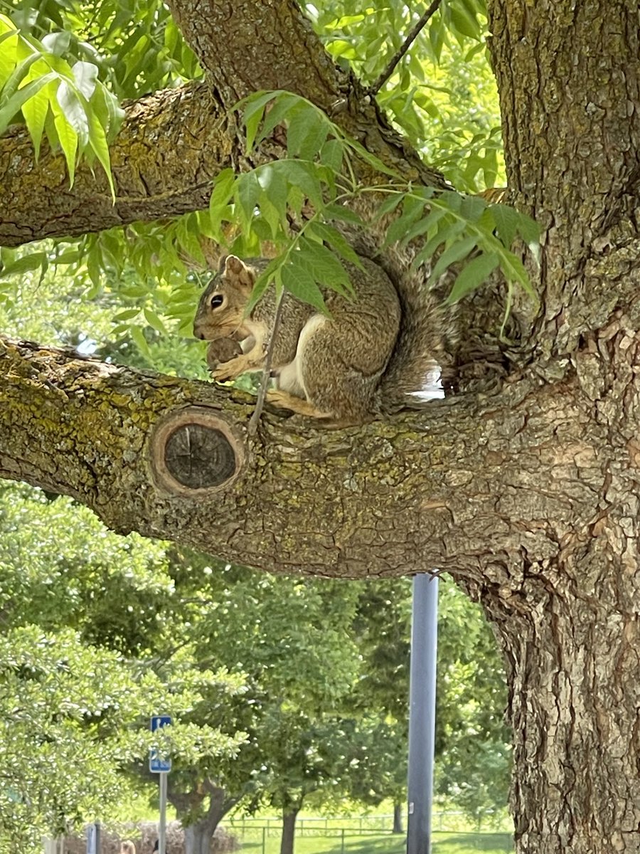 Catherine tweet media