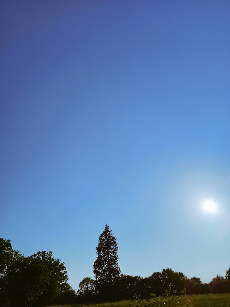 AliParkes3's tweet image. Finally the sun shines for summer evenings of sport. Perfect evening for netball #metime #postworkwinddown #meaningfulactivity #leisure #wellbeing @HPFT_NHS #OT