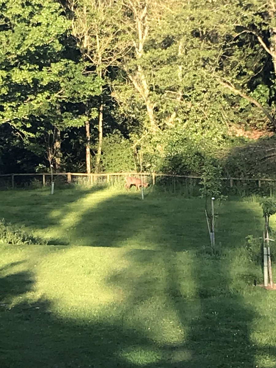 space to grow mental health growing project tweet media