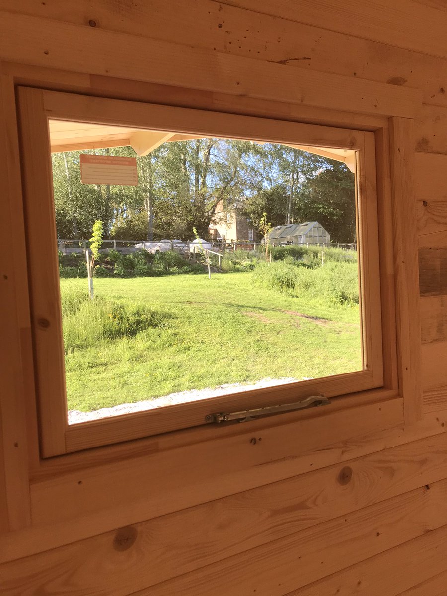 space to grow mental health growing project tweet media