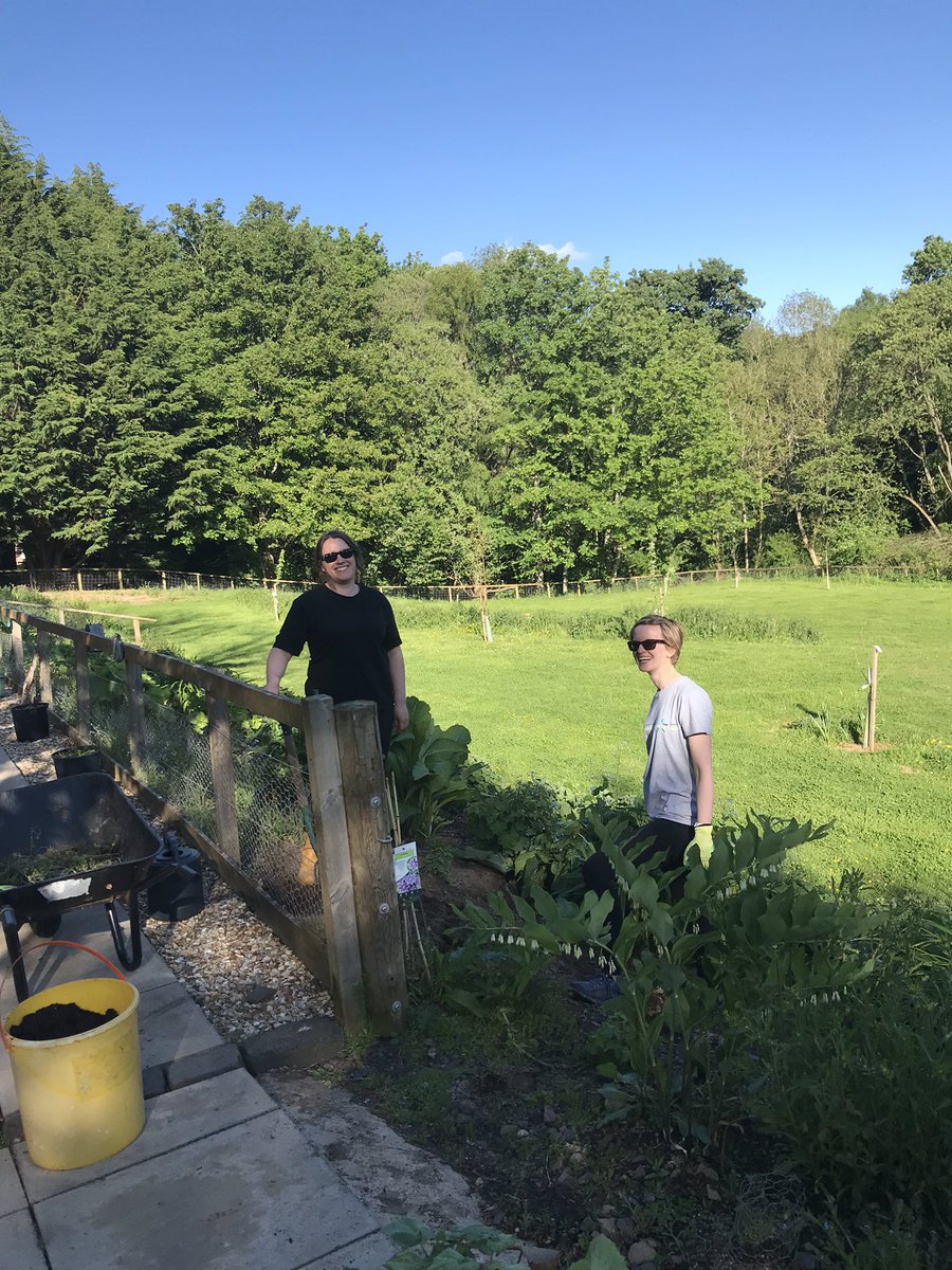 space to grow mental health growing project tweet media