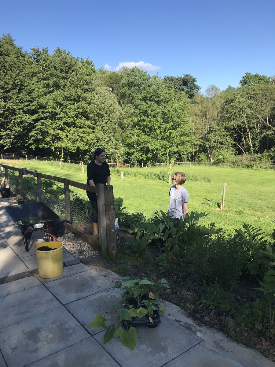 space to grow mental health growing project tweet media