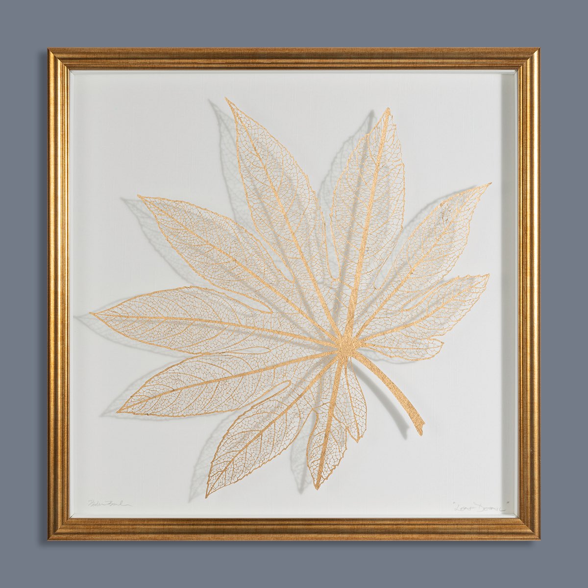 Delighted to photograph this incredible botanical art by the very talented Barbara Burke of BBpapercuts.

Castor Oil Leaf cut from “Unryu" Japanese paper, photographed fully framed behind glass. 

Check out Barbara’s amazing range of work at bbpapercuts.com

#papercutart