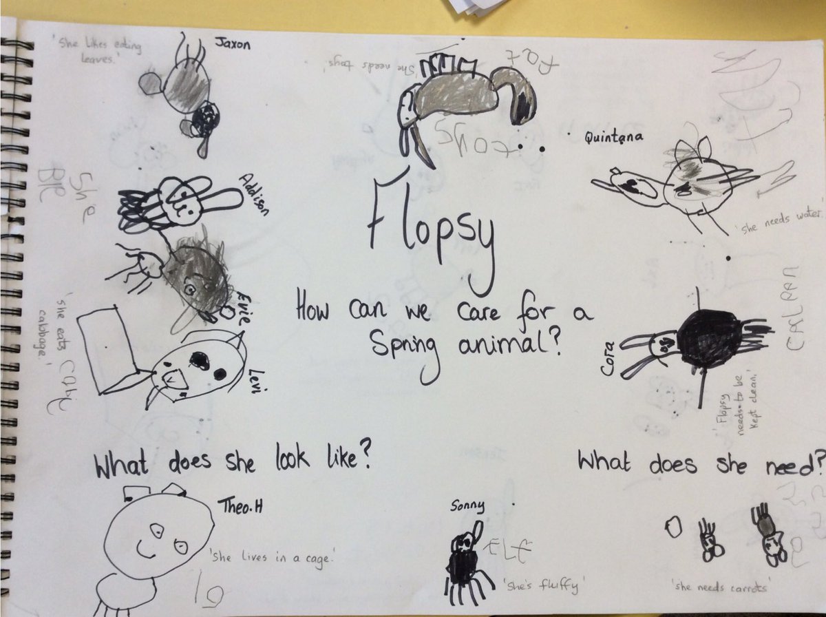 IDS_DewiSant's tweet photo. A big ‘Thank you’ to some of the girls from @IDS_Bangor for confidently speaking to our class today about Flopsy . You spoke beautifully and appropriately to your little audience ! Gwaith gwych Merched ! 🌟@IDS_Mrs_Parfitt @IDS_Mrs_Evans https://t.co/LOGQqoF52j