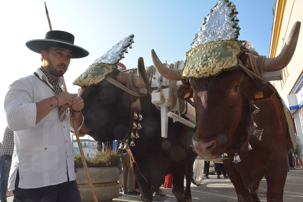 Así ha sido la salida d la #Hermandad del #Rocío de #Mairena del #Aljarafe (🖊️noticia + 📸fotogalería + 📹vídeo) ⬇️⬇️⬇️

aljarafeymas.com/noticias/10766…

<a href="/RocioMairenaAlj/">HdadRocíoMairenaAlj</a> <a href="/sanildefonsoma/">Parroquia San Ildefonso - Mairena del Aljarafe</a> <a href="/AlbertoJaime89/">Alberto Jaime ✠ ✵</a> 
<a href="/MairenaAljarafe/">Mairena del Aljarafe</a> <a href="/AntonioConde_M/">Antonio Conde</a> <a href="/andaluci/">Sergio Toro Gonzalez</a>
<a href="/BlancadePablos1/">Blanca de Pablos</a> @OtipadiReyes 

#Rocío23