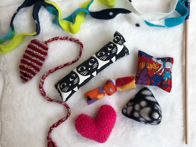 VOKRA - Vancouver Orphan Kitten Rescue Association tweet media