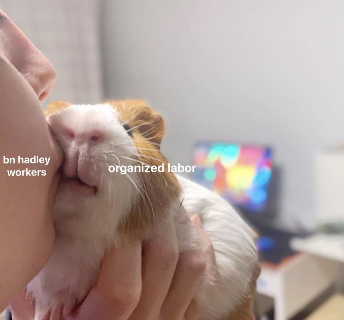 organized labor has us twirling our hair 🤭💕

TOMORROW IS THE DAY!! #unionyes

#bnhadleyunion #unionstrong