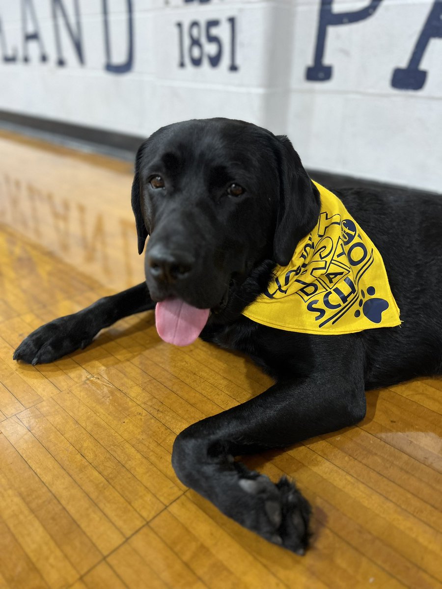 Mister_Diggle's tweet photo. Well friends, 2day was the last day of year no. 2 having the best job ever @LocklandLocal! My adult &amp; kid humans will be missed over the summer! I hope everyone gets to relax &amp; enjoy the summer days! I’m ready to just chill myself! #diggledog #facilitydog #summertime #time2relax https://t.co/oYYcKn5iGs