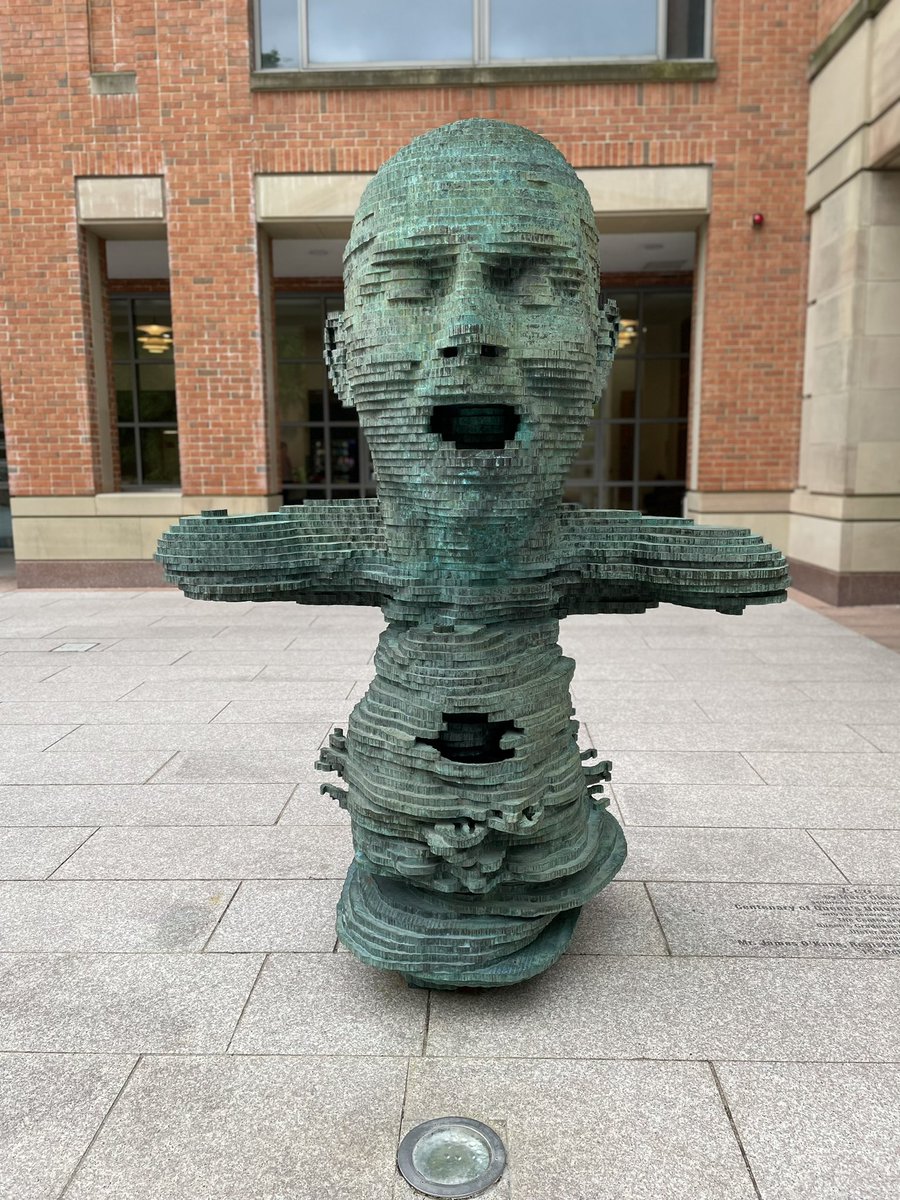 Dr Sara Shinton tweet media