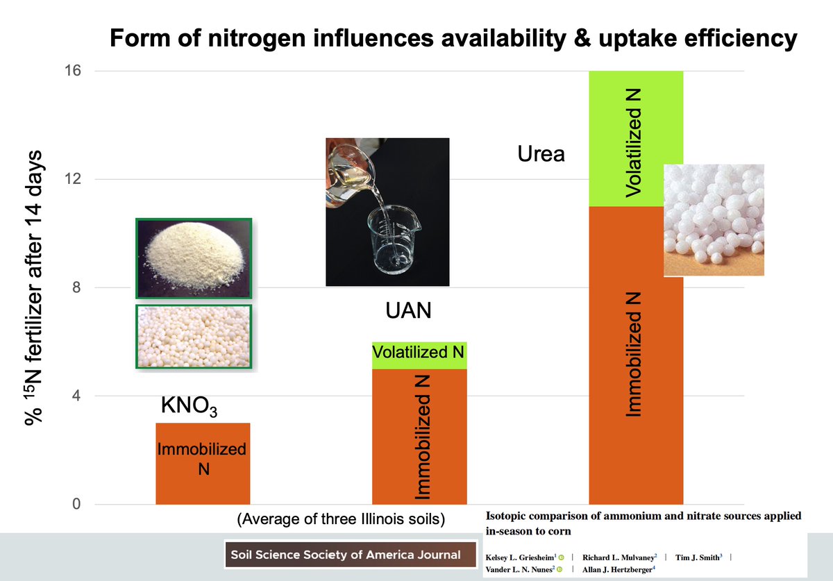 Does Nitrogen Source Matter? New 15N comparison for top-dressing corn: KNO3> UAN> urea for N uptake and recovery. Differences due to loss of urea-N and UAN-N via NH3 volatilization & more microbial immobilization. Thx @KelseyGriesheim lnkd.in/gFb9GJ2n #4R #soil #nitrogen