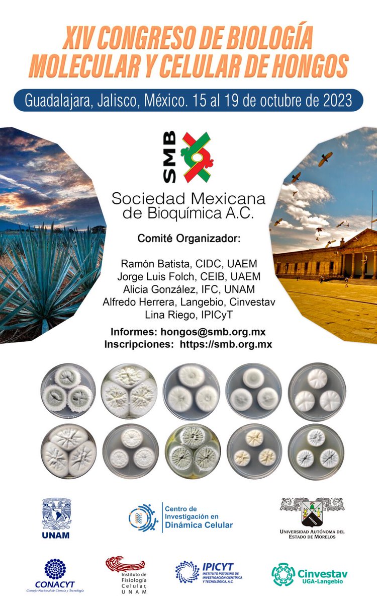 La Sociedad Mexicana de Bioquímica te invita al XIV Congreso de Biología Molecular y Celular de Hongos 🍄 🧬 que se llevará a cabo en Guadalajara del 15 al 19 de octubre.
