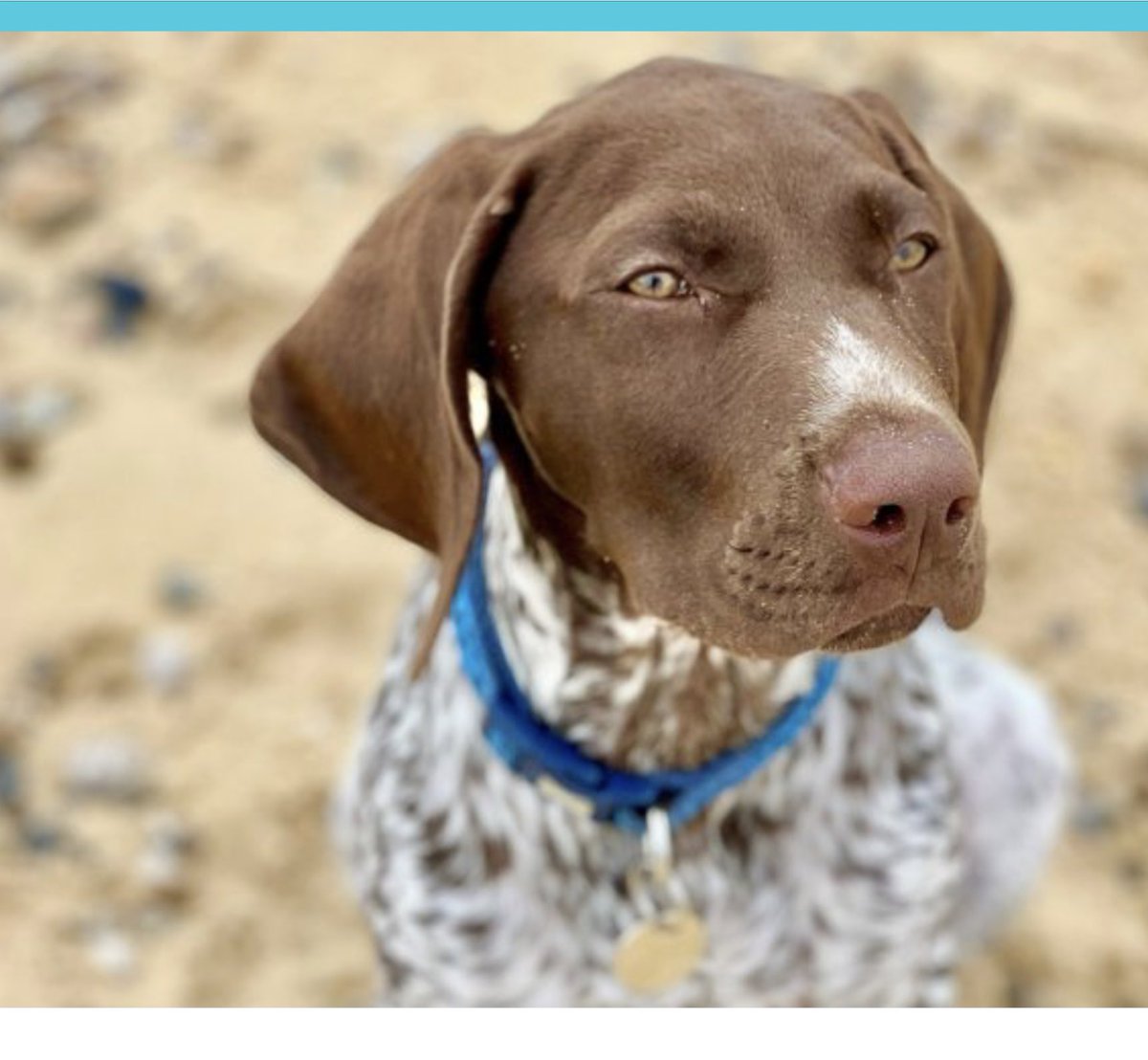 Lorraine Nicolle tweet media