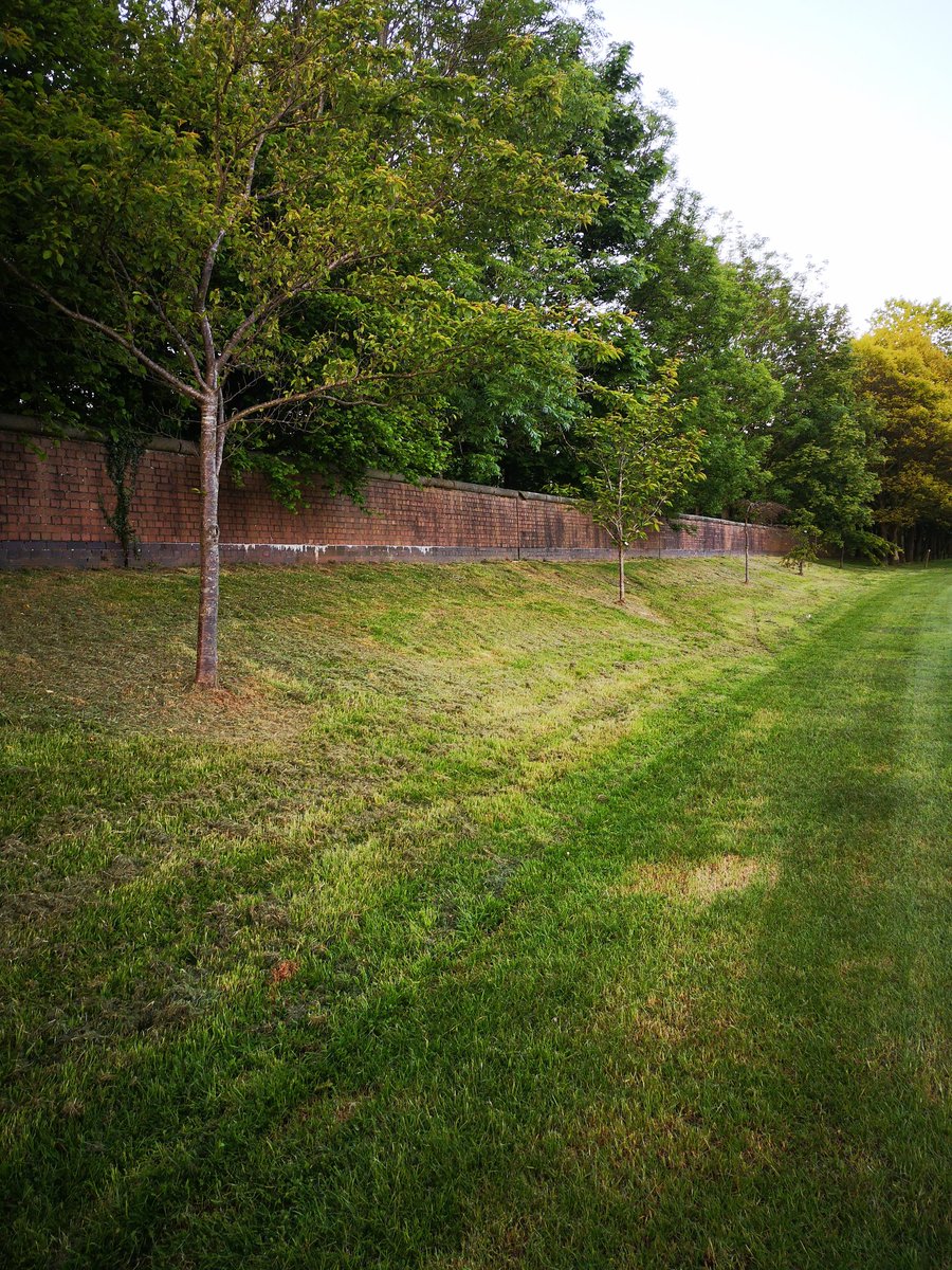 A couple of days ago this embankment on the edge to the @KeeleUniversity sports field was full of wild flowers, now it's desolate. Why? It's a unused embankment! #greenkeele my arse. Makes of joke of their award for 'sustainability university of the year'.