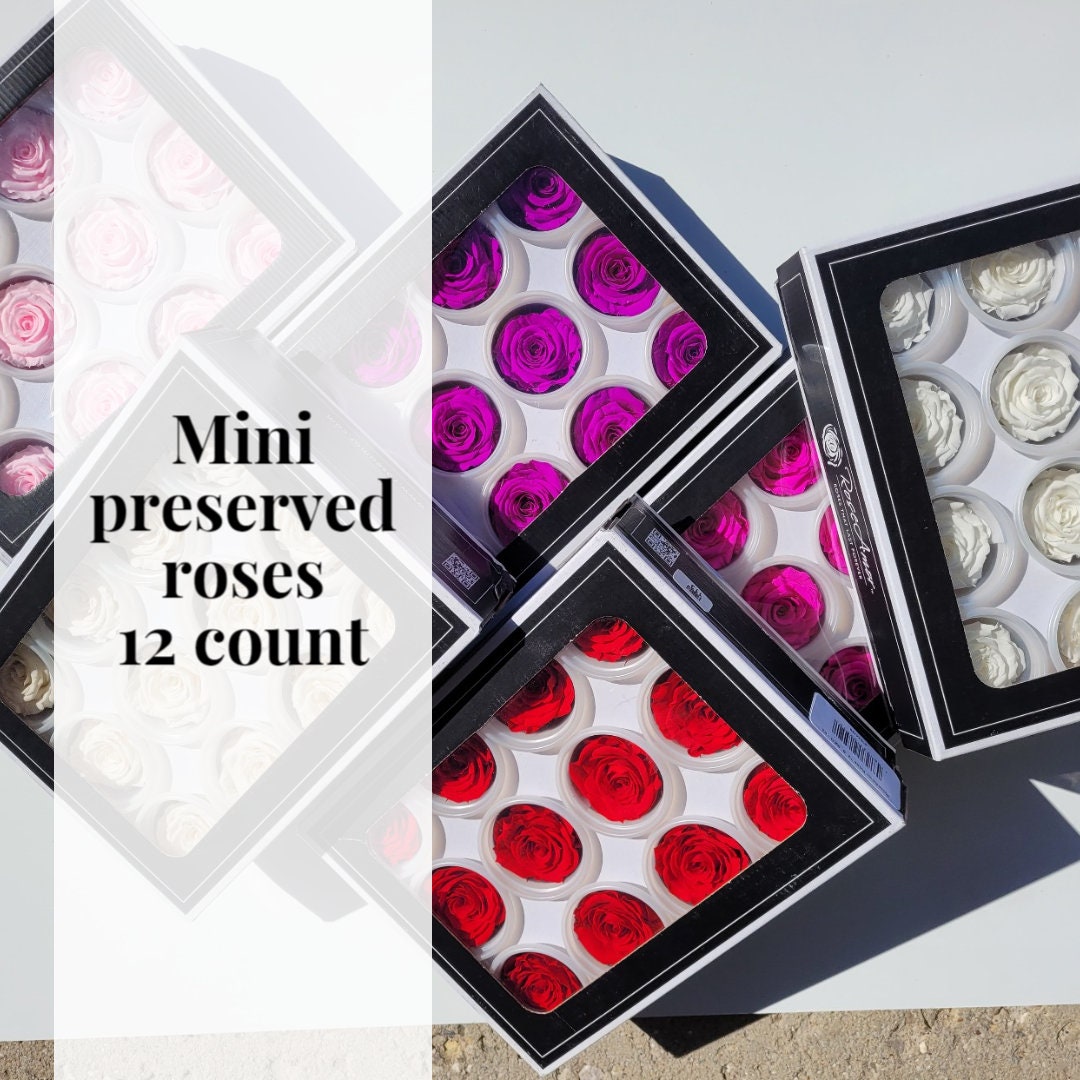 endlessblossoms's tweet photo. Small (mini)12 count Rose Amor Luxury Ecuadorian Preserved Roses https://t.co/gGGemCInHt #wedding #minipreservedroses #rose #smallpreservedroses #preservedroses #ecuadorianroses #foreverroses #roseamor #eventplaner #diybouquet #diycorsages https://t.co/zMnYPqGjoB
