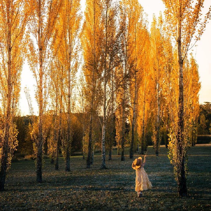 Soaking up the last few days of #autumn 🍁  Our mate&nbsp;IG/brenton_captures snapped this stunning scene at<a href="/tag/autumn"class="tags">#autumn</a><a href="/tag/seeaustralia"class="tags"><span>#seeaustralia</span></a><a href="/tag/comeandsaygday"class="tags"><span>#comeandsaygday</span></a><a href="/tag/daylesford"class="tags"><span>#daylesford</span></a>