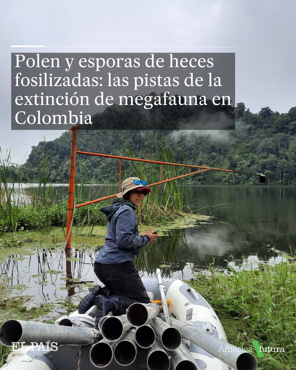 América Futura tweet media