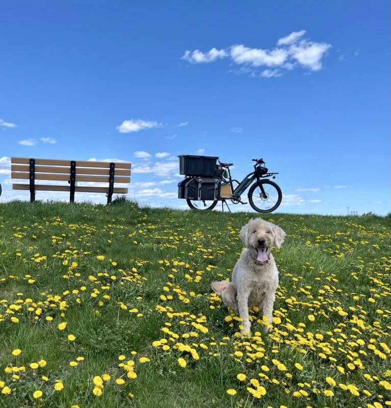 A best friend and a beautiful summer day!🐕☀️🏞️
.
.
.
#electricbike #ev #magnumbikes #furryfriend #copilot #summer