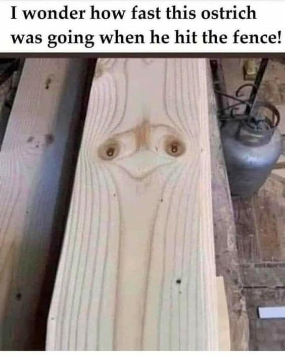 This Friday! 

Be among the first to enjoy a whole new generation of performers.

“I was there when…”

You can grab your tickets here: thebooknookstirling.co.uk/events/

#stirling #openmic #spokenword #poetry #StirlingMakar <a href="/BookNookStir/">The Book Nook Stirling</a>