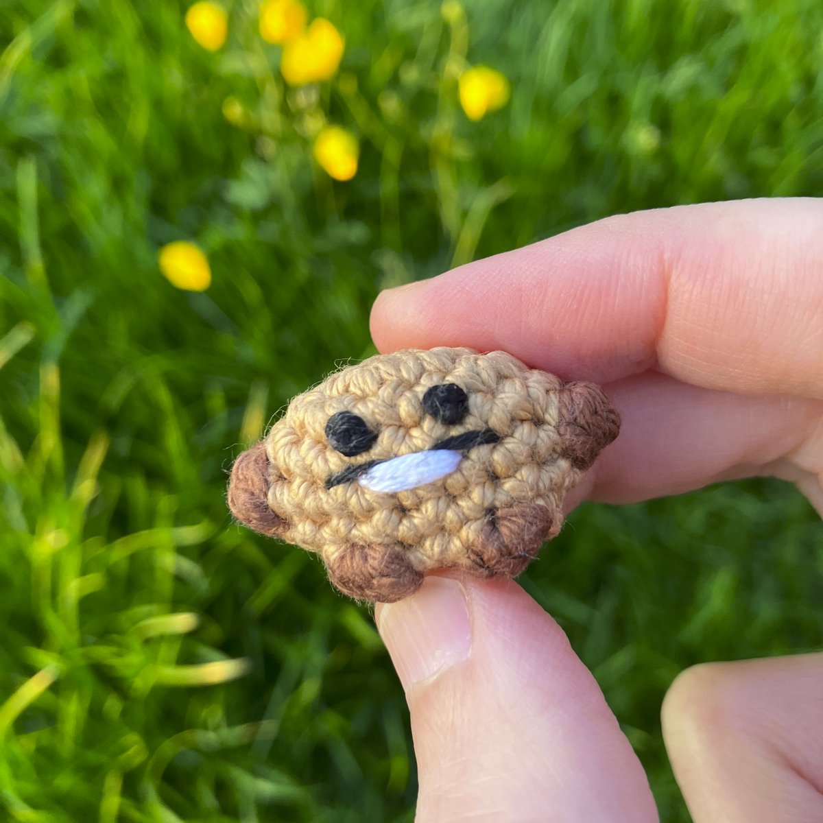 I was planning to make an acorn but ended up with a tiny shooky ...