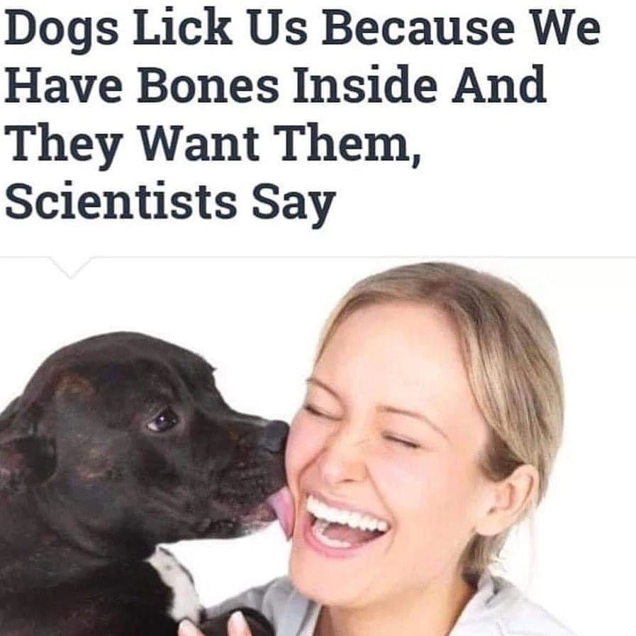 WholesomeMemes tweet media